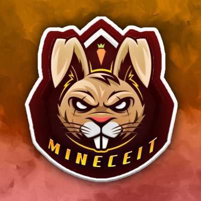 MINECEIT